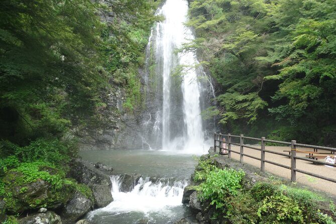 Osaka Half-day E-bike Adventure: Minoh Falls & Katsuoji Temple - The e-bike ride to Katsuoji Temple: views first, then daruma calm