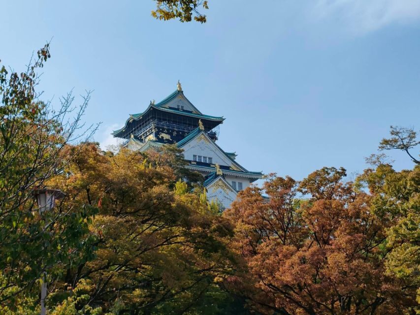 Osaka: Half-day Ultimate Highlights Guided Walking Tour - Why this Osaka highlights walk works (and who it’s for)