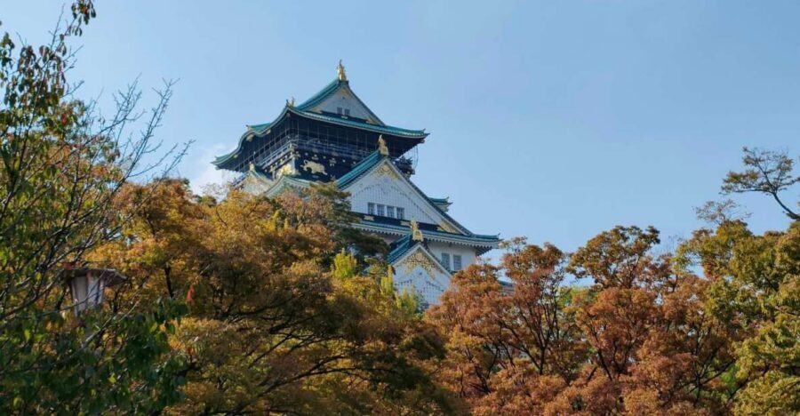 Osaka: Half-day Ultimate Highlights Guided Walking Tour - Getting your bearings in Namba and Shinsaibashi-suji