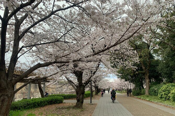Osaka Highlights: 4Hrs Guided Walking Tour with a Native Expert - Osaka Castle: from the park walk to the main tower views