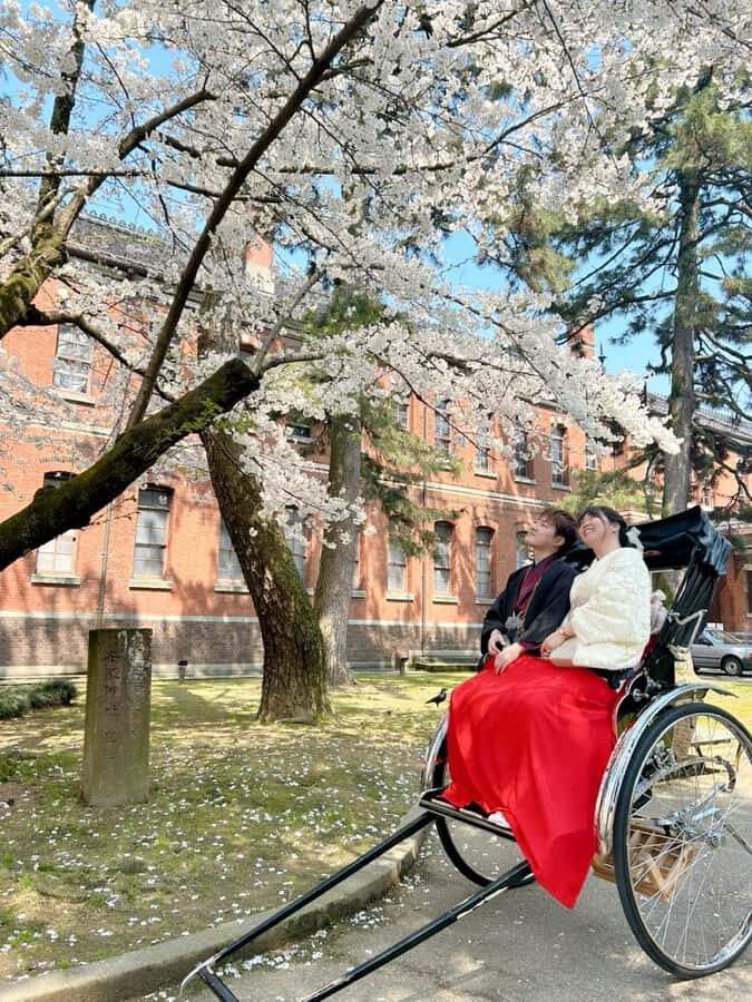 Osaka: Kimono Rental Traditional Experience at WARGO - Key Highlights at a Glance