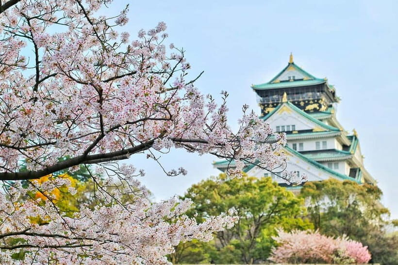 Osaka: Kyoto and Nara Private Day Trip - Arashiyama Bamboo Forest and Togetsu-kyō Bridge: The Day’s Calmer Finale