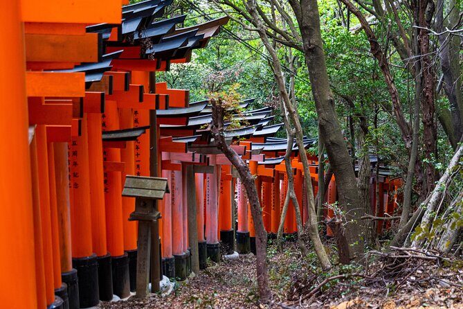 Osaka/Kyoto: Arashiyama, Fushimi Inari & Nara Park Day Trip - Nonomiya Shrine: a black torii gate that changes the visual rhythm