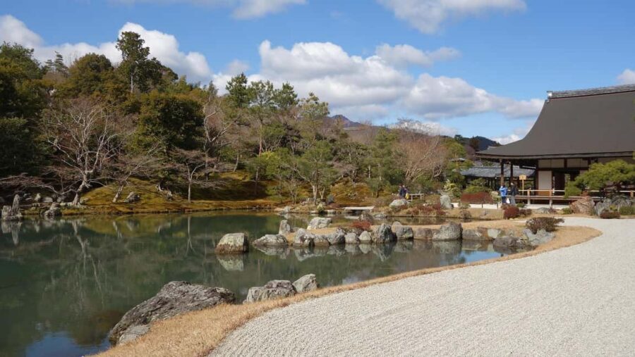 Osaka/Kyoto: Arashiyama, Nara Park, Fushimi Shrine Tour - Who this tour fits best