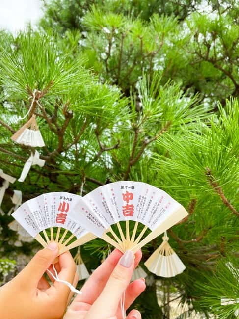 Osaka: Kyoto By The Sea with Amanohashidate & Ine no Funaya - Ine no Funaya: The Floating Fishing Village You’ve Probably Seen Only in Photos