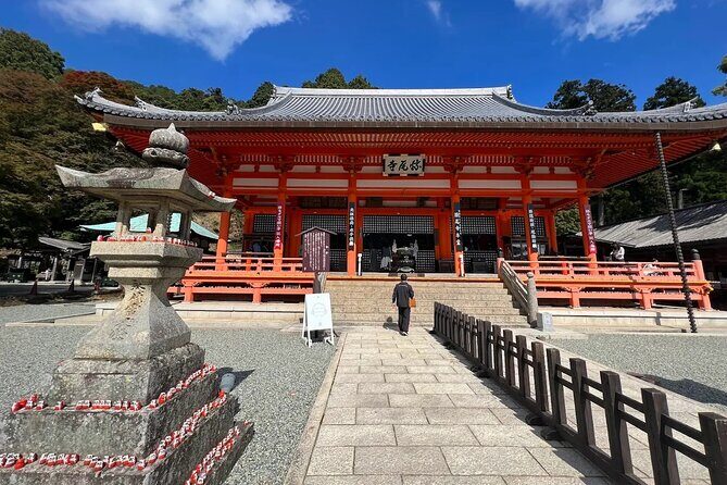 Osaka / Kyoto: Katsuoji, Arashiyama & Kinkaku-ji One Day Tour - Price and value: what $54.90 costs in real terms