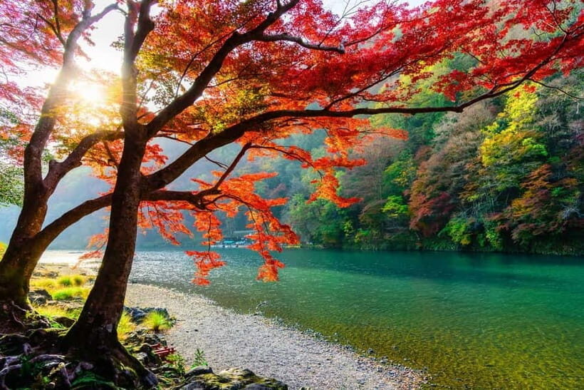 Osaka/Kyoto: Katsuoji, Kinkakuji, Arashiyama 1-Day Bus Tour - Should You Book This Katsuoji–Arashiyama–Kinkakuji Tour?