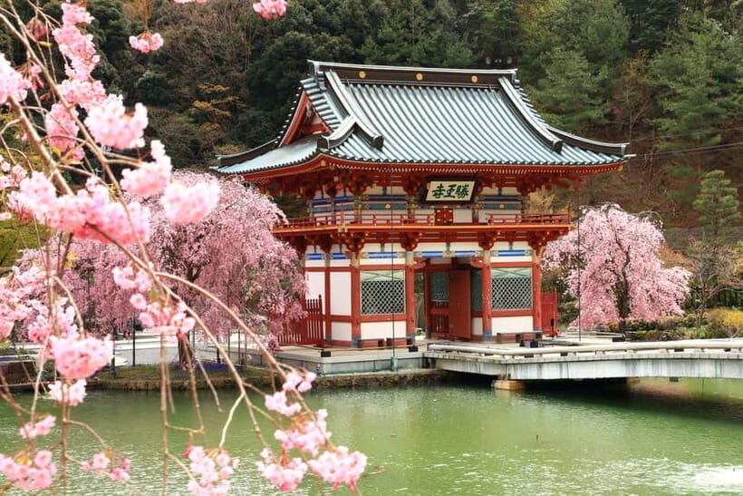 Osaka/Kyoto: Katsuoji, Kinkakuji, Arashiyama 1-Day Bus Tour - Price and What You Actually Get for $56