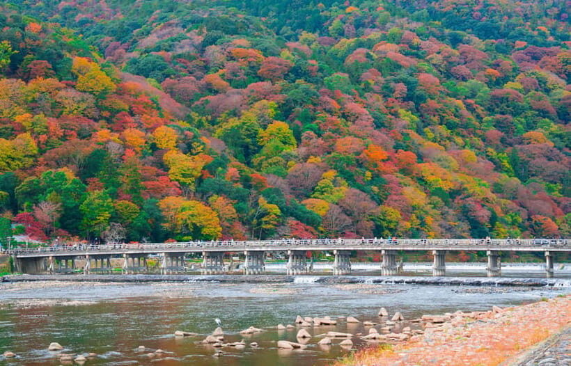 Osaka/Kyoto: Katsuoji, Kinkakuji, Arashiyama 1-Day Bus Tour - Kinkakuji Temple: Quiet Time in Golden Splendor