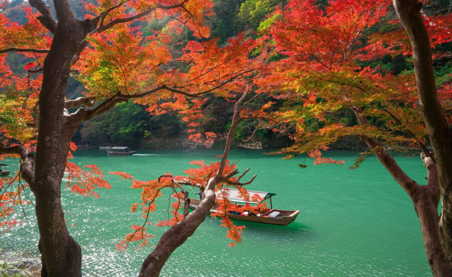 Osaka/Kyoto: Katsuoji, Kinkakuji, Arashiyama 1-Day Bus Tour - What to Bring (So the Day Doesn’t Feel Like Work)
