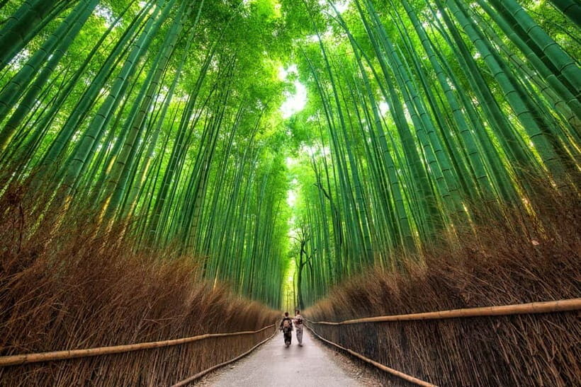 Osaka/Kyoto: Katsuoji, Kinkakuji, Arashiyama 1-Day Bus Tour - Who This Bus Tour Fits Best