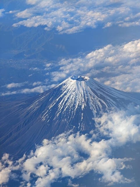 Osaka/Kyoto/Nara: Private Full-Day Sightseeing Tour - Quick Take: What’s Interesting Here