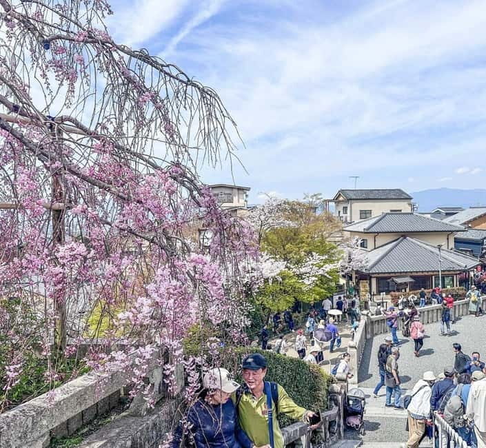 Osaka/Kyoto/Nara: Private Full-Day Sightseeing Tour - Arashiyama Bamboo and the Kyoto Rhythm
