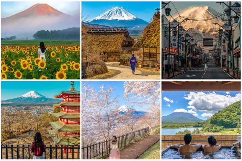 Osaka/Kyoto/Nara: Private Full-Day Sightseeing Tour - Kodaiji, Yasaka, and Gion: Tradition on Foot, Not Just From the Road