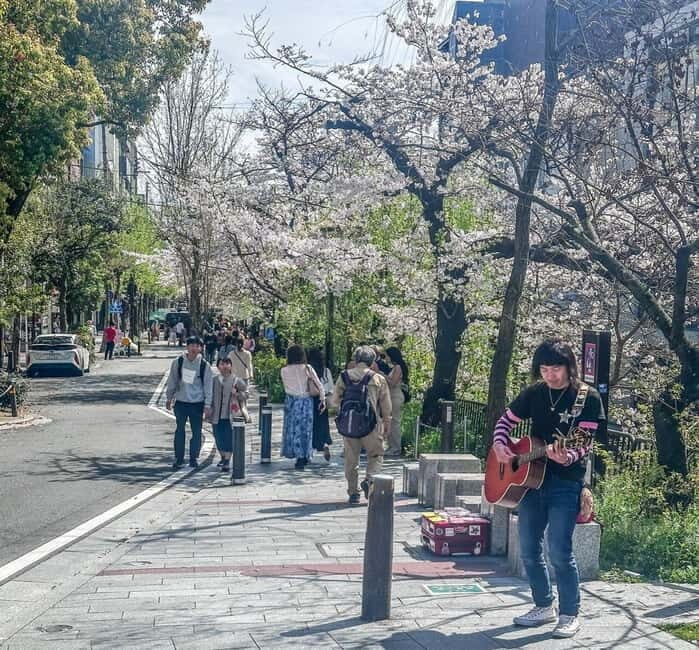 Osaka/Kyoto/Nara: Private Full-Day Sightseeing Tour - Price and Value: $439 Per Group Up to 6
