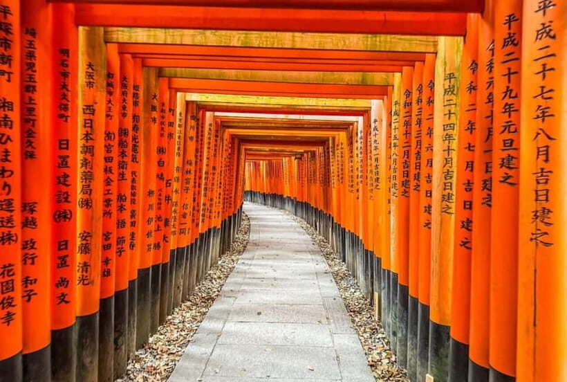 Osaka/Kyoto/Nara: Private Full-Day Sightseeing Tour - A Note on Reliability: The No-Show Concern You Should Not Ignore