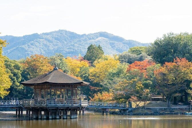 Osaka & Kyoto & Nara Top Hightlights English Speaking Tour - Shinsaibashi in Osaka: ending near food, lights, and shopping