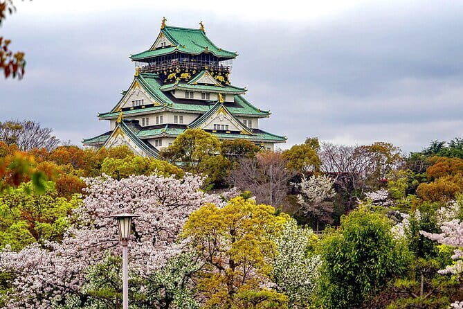 Osaka & Kyoto & Nara Top Hightlights English Speaking Tour - Comfort, crowds, and walking: your real checklist before you go