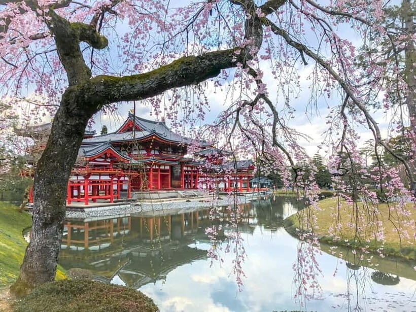 Osaka: Kyoto & Nara & Uji Historical and Scenic One-Day Tour - Price and Logistics: What Your $56 Really Buys