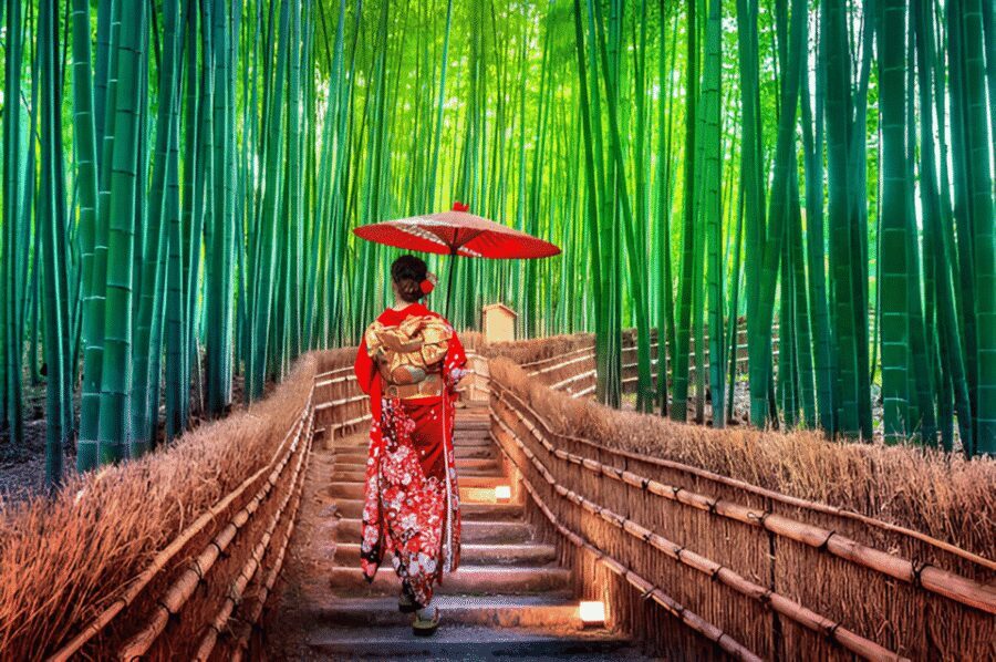 Osaka/Kyoto: Private Kyoto and Nara Day Trip - Price and value: what $516 buys for up to 6 people