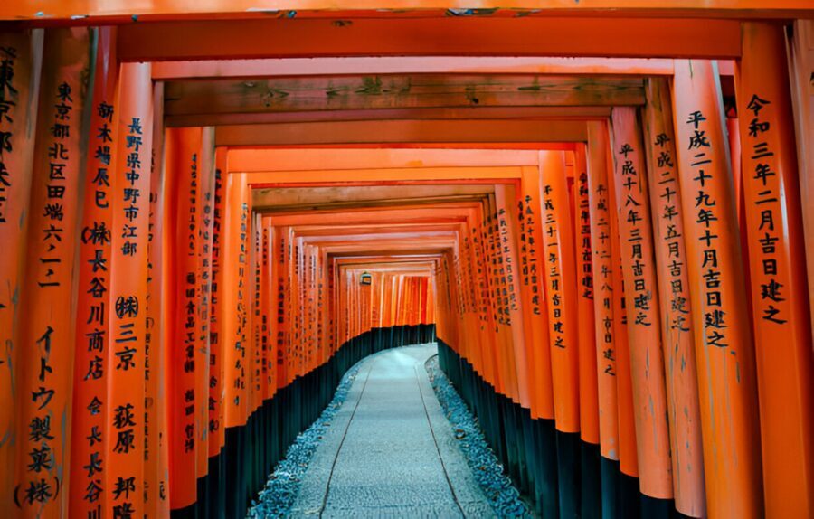 Osaka/Kyoto: Private Kyoto and Nara Day Trip - Arashiyama Bamboo Forest photo stop: quick, scenic, and efficient