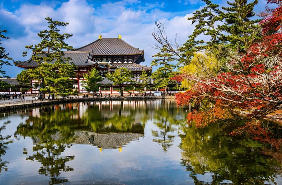 Osaka/Kyoto: Private Kyoto and Nara Day Trip - How customization actually helps (and what it can’t do)