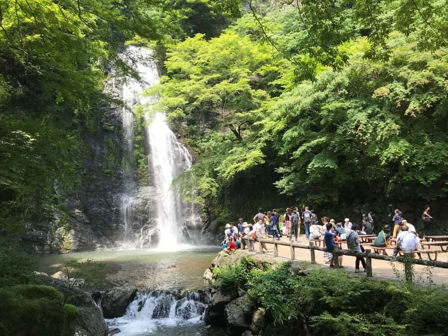 Osaka: Mino Forest Walk and Giant Waterfall with Local Lunch - Getting to Mino: JR Osaka Station, the Midosuji North Gate, and real-world time