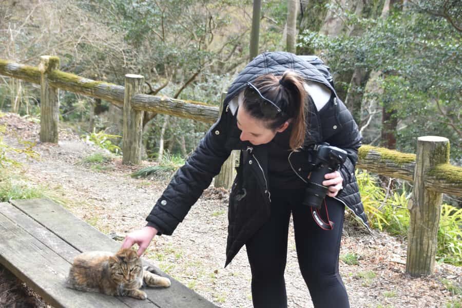Osaka: Mino Forest Walk and Giant Waterfall with Local Lunch - Lunch at a small Mino restaurant: what you’re actually eating and why it works