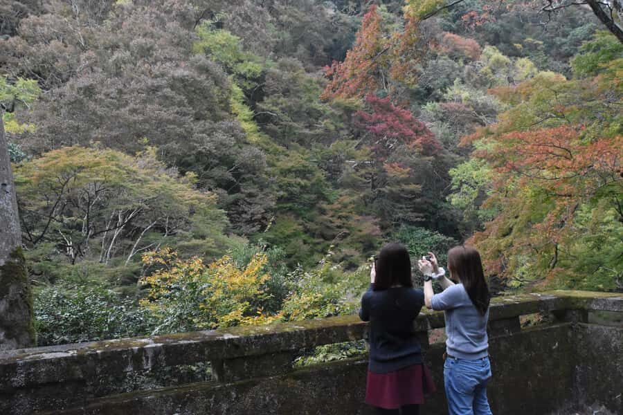 Osaka: Mino Forest Walk and Giant Waterfall with Local Lunch - How much walking is this, really? Comfort, timing, and who it’s best for