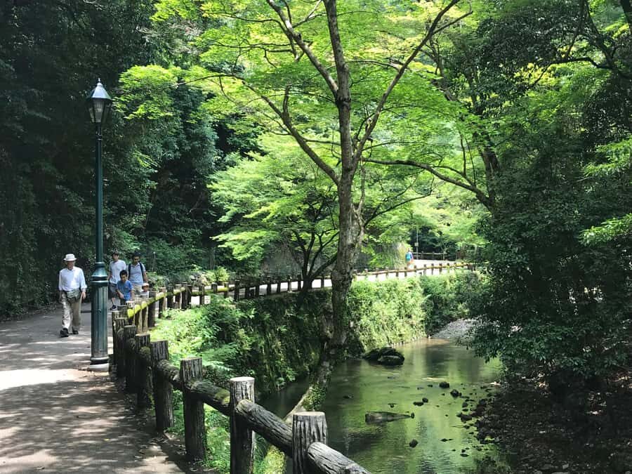 Osaka: Mino Forest Walk and Giant Waterfall with Local Lunch - Should you book this Mino Forest Walk and Giant Waterfall?