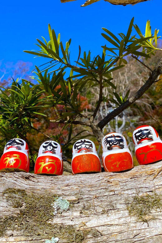 Osaka: Minoh, Katsuoji Temple, & Minoh Falls Full-day Tour - What to pack so you stay comfortable the whole day