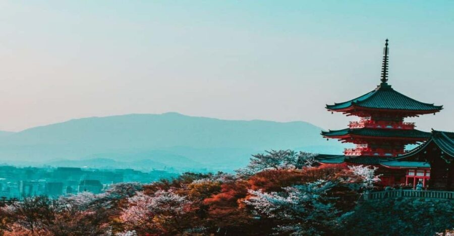Osaka : Must-see & Hidden Gems Walking Tour - Key things to know before you go