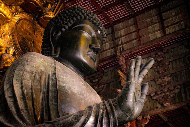 Osaka & Nara in 1-Day by Private Van with Local Expert Guide - Private Van From Kyoto: The Real Value of Fewer Transit Headaches