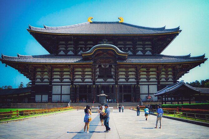 Osaka & Nara in 1-Day by Private Van with Local Expert Guide - Nara Park and Todai-ji: Deer Encounters and the Giant Buddha Moment