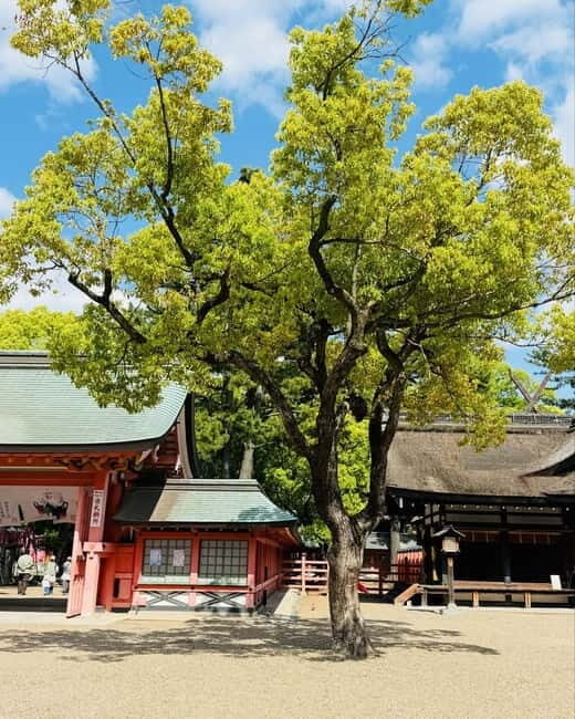 Osaka & Nara: Private Tour with English speaking guide - Shitennoji: a calmer, older Osaka break