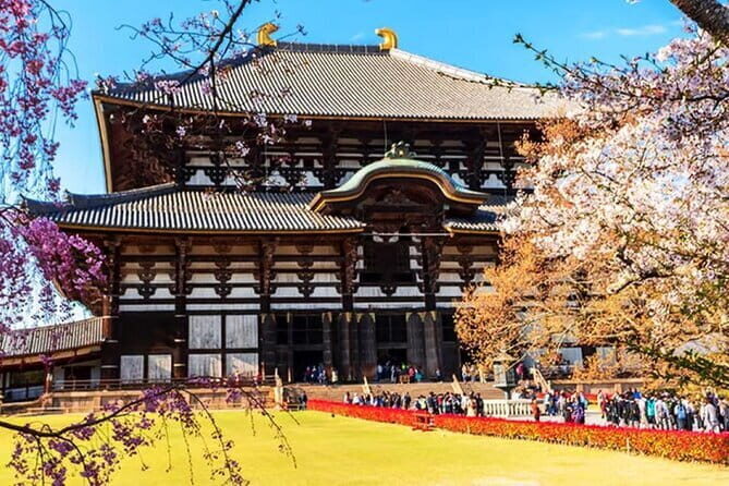 Osaka: Nara, Todaiji, Uji Matcha, and Hot Spring Tour - Start Time at 8:30: Getting Ready for a Long Day