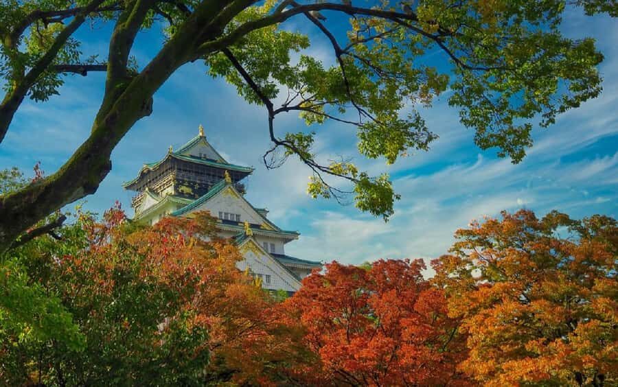 Osaka: Osaka Castle 3 hours Historical Walking Tour - Hokoku Shrine: a calm ending at Toyotomi Hideyoshi’s site