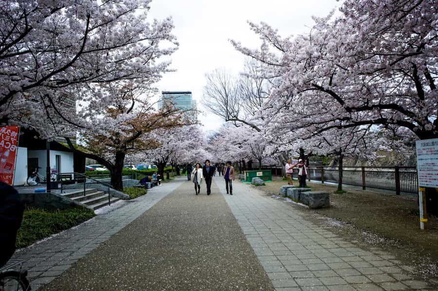 Osaka: Osaka Castle 3 hours Historical Walking Tour - Practical tips that make the day smoother