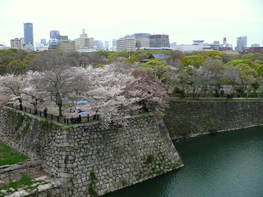 Osaka: Osaka Castle 3 hours Historical Walking Tour - Who should book this Osaka Castle walking tour