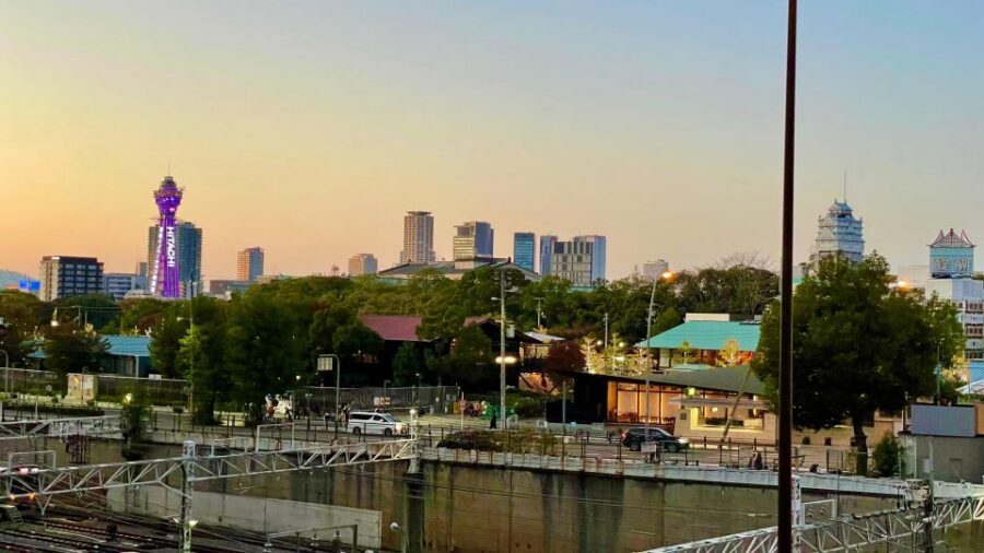 Osaka: Osaka Castle - Tsuruhashi - Tennoji (Spanish Guide) - Tsuruhashi: Korean food tasting plus street-level shopping
