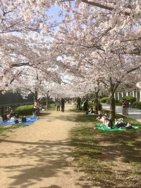 Osaka: Private and Fully Customized Tour with Hotel Meet Up - Hotel meet-up and an English guide: start with less stress