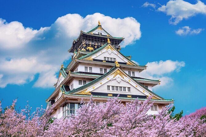 Osaka Private Cherry Blossom Tour with a Local – Picnic Included - Your Host Is the Value: Q&A, Picks, and Real Direction