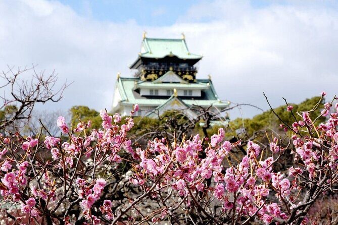 Osaka Private Cherry Blossom Tour with a Local – Picnic Included - Stop 1: Riverside Promenade Sakura With Picnic-Friendly Space