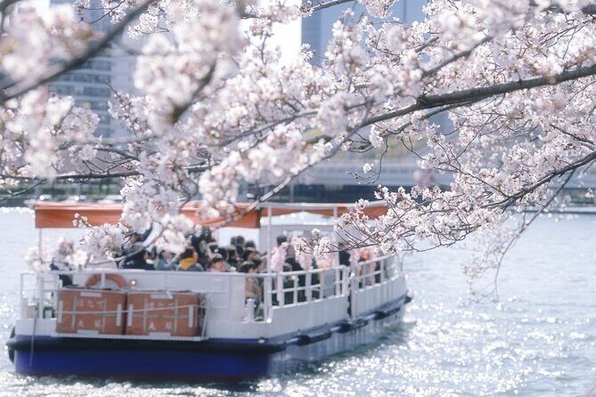 Osaka Private Cherry Blossom Tour with a Local – Picnic Included - Stop 3: Osaka Mint Bureau Sakura Garden (Mid-April Timing Matters)