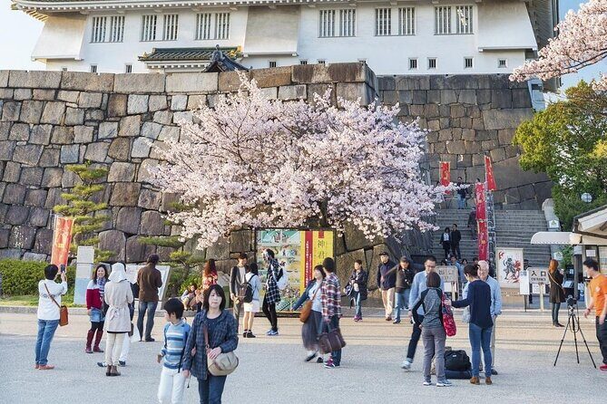 Osaka Private Cherry Blossom Tour with a Local – Picnic Included - Stop 5: Expo Park on Former 1970 Grounds With 5,000+ Trees