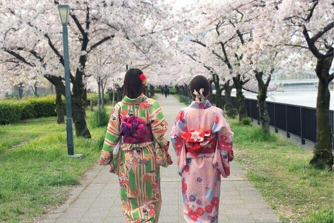 Osaka Private Cherry Blossom Tour with a Local – Picnic Included - The Hanami Picnic: Included Food That Changes the Day