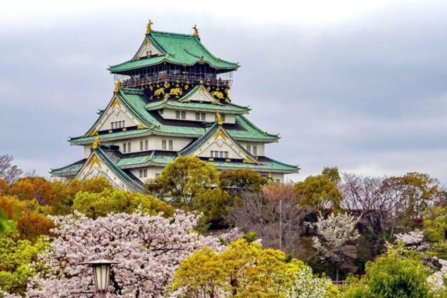 Osaka: Private Custom Walking Tour with a Local Guide - What about museum stops, ticket costs, and extras?