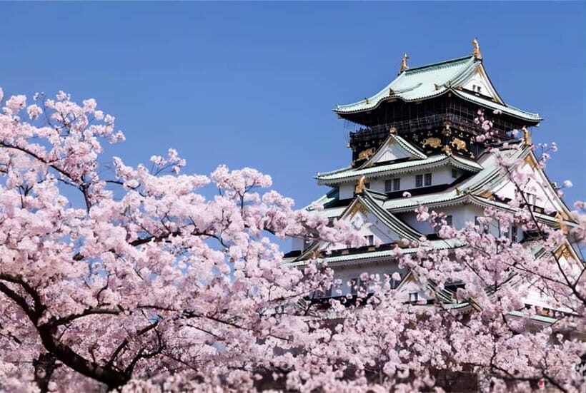Osaka: Private Customizable Day Tour with Hotel Transfer - A private charter that lets Osaka run on your schedule