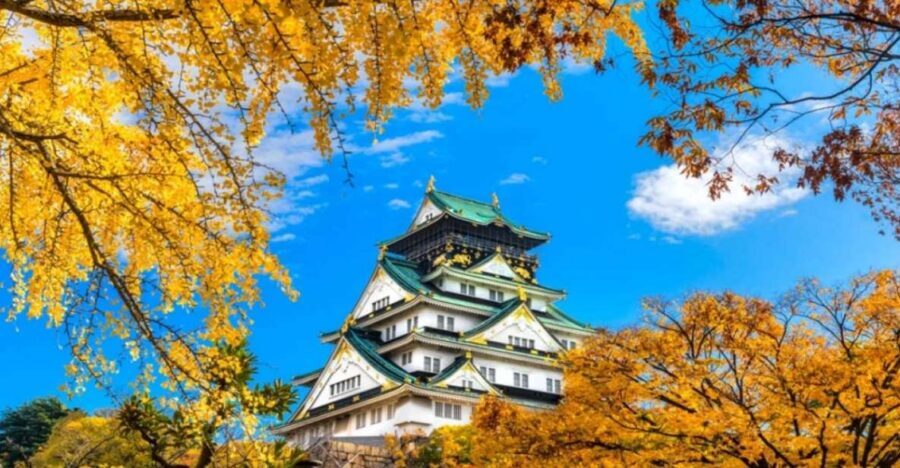 Osaka: Private Customizable Day Tour with Hotel Transfer - Price of $232 per person: when this is actually good value