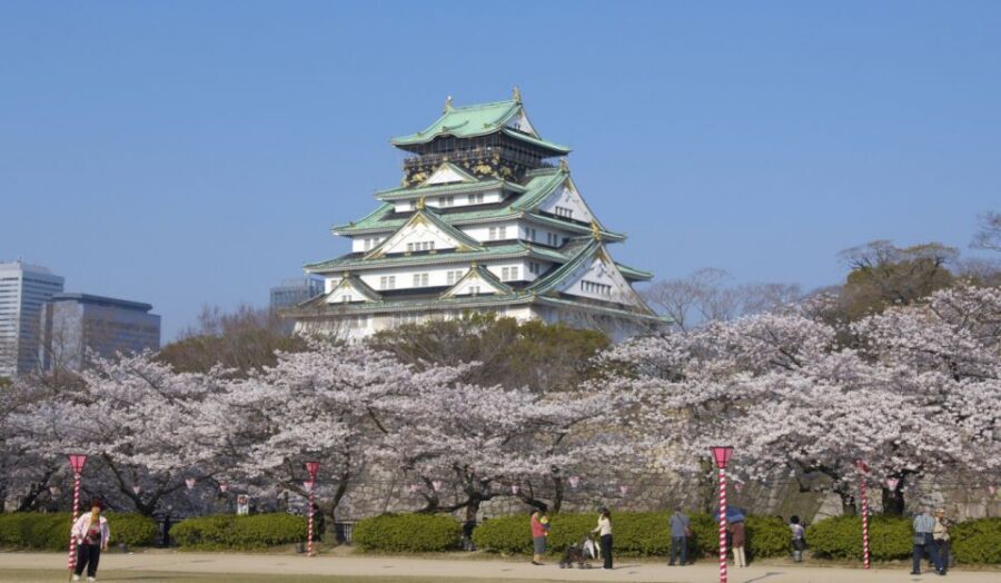 Osaka: Private Customizable Day Tour with Hotel Transfer - Getting picked up in Osaka without the public-transport stress